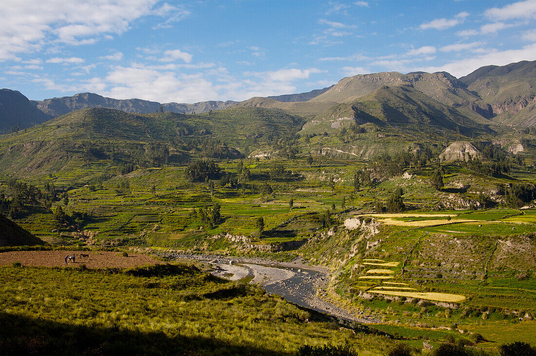 Colca Valley Peru License Image 70379300 Lookphotos