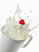 Milch spritzt auf