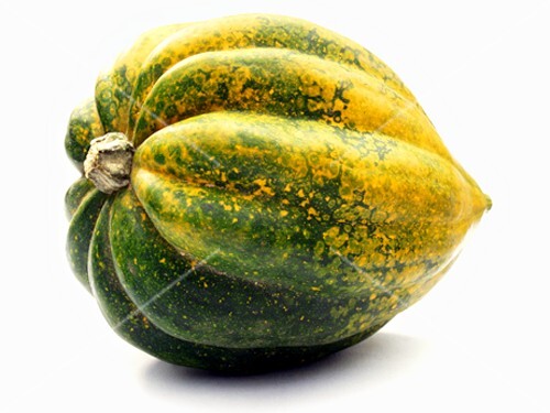 An Acorn Squash