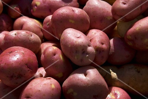 Many Whole Red Potatoes