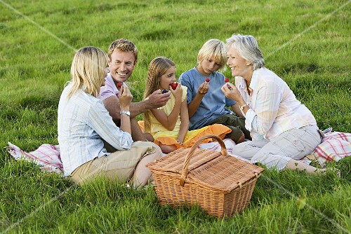 A family including children and a grandmother having a picnic