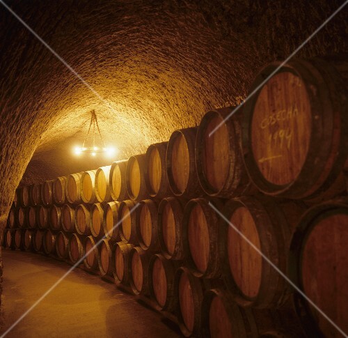 Barrel cellar, Isamel Arroyo, Ribera del Duero, Spain