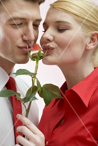 Couple kissing chocolate-dipped strawberry on rose stalk
