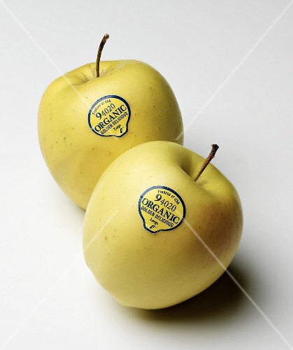 Two Organic Golden Delicious Apples on White