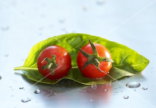 Two cherry tomatoes on a basil leaf