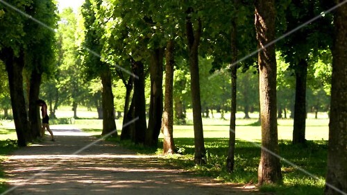 Woman jogging in park
