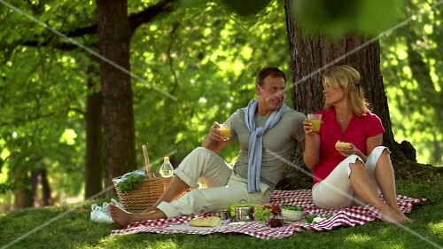Pärchen beim Picknick im Park
