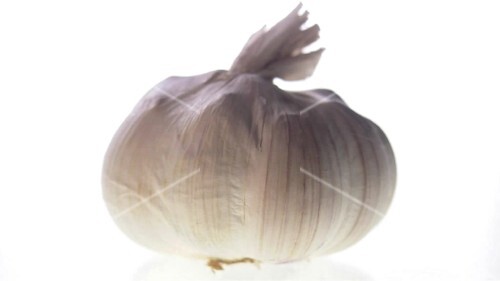 A garlic bulb