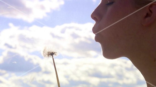 Frau bläst gegen eine Pusteblume