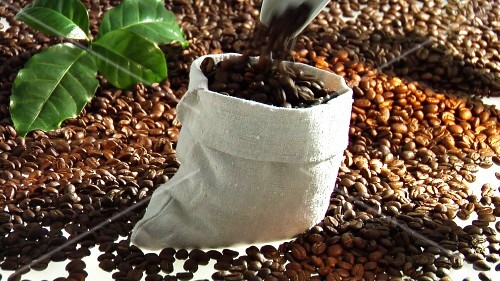 Filling a sack with coffee beans