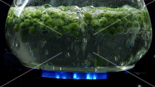 Cooking peas in hot water