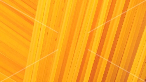 Spaghetti (full-frame)