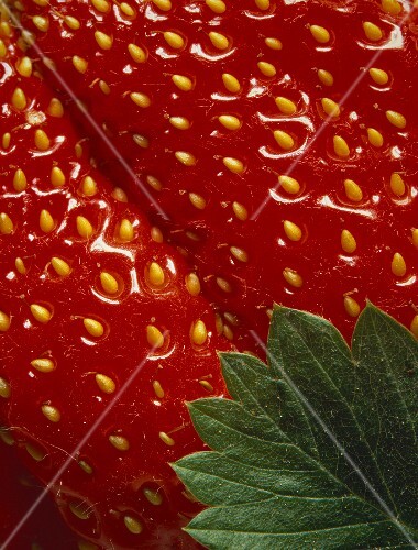 Single Strawberry Close Up