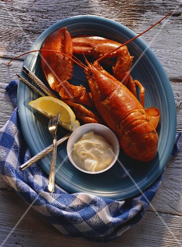 Boiled Lobster with Mayonnaise