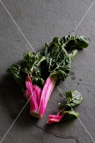 Red chard