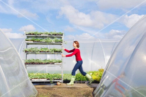 Woman pushing cart of plants outdoors