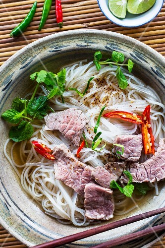 Pho bo (noodle soup with beef, Vietnam) – buy images – StockFood