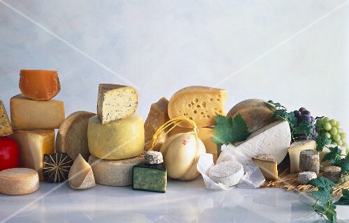 Assorted Cheese Still Life