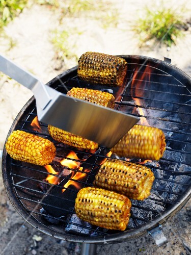 Corn cobs being grilled