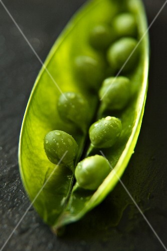 Organic Green Pea Pod Split Open