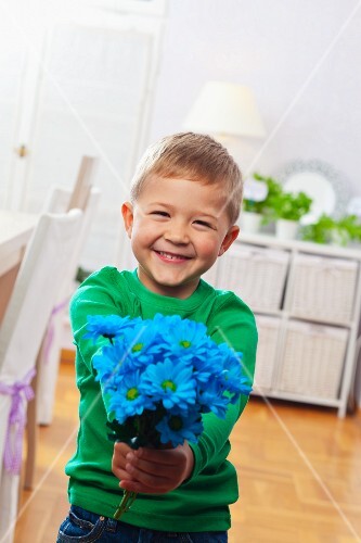 Boy holding posy of blue-dyed flowers in both hands