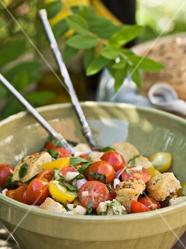 A bread salad with tomatoes, onions and basil