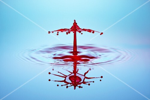 An artistic shot of red water drops