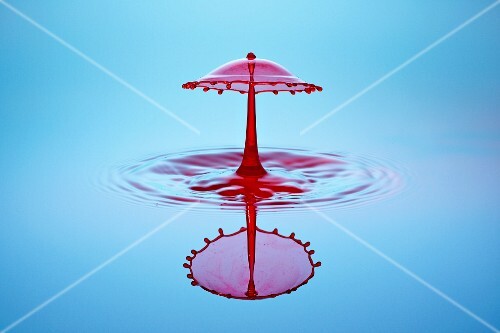 An artistic shot of red water drops
