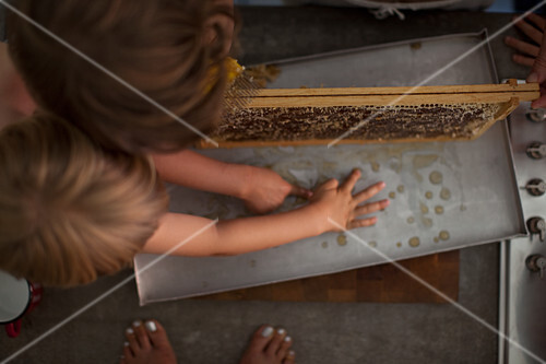Kinder mit Bienenwabe