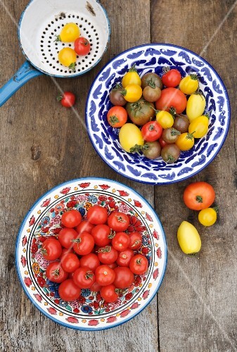 Ceramic bowls with tomatoes in a variety of colors