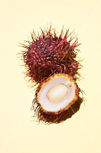 Cross Section of a Rambutan