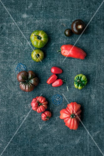Various types of tomatoes