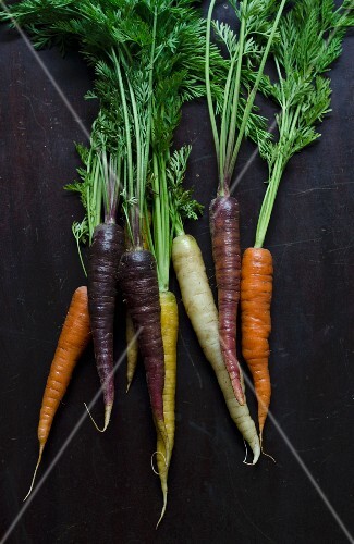 Five Varieties of Baby Carrots; Atomic Red, Bambino Orange, Cosmic Purple, Lunar White and Solar Yellow