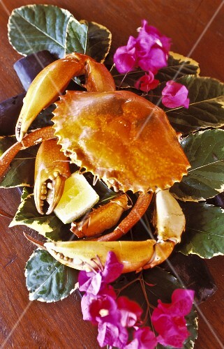 A crab on leaves with lemon
