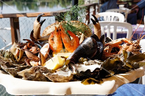 A seafood platter in the sunshine