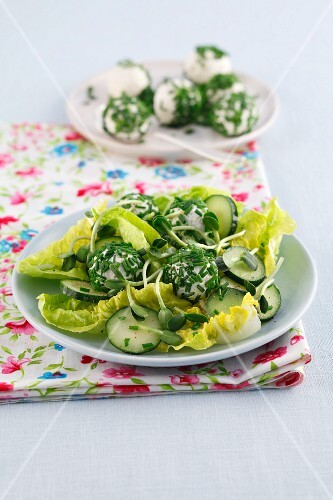 Cos lettuce salad with sunflower sprouts and cottage cheese balls with chives