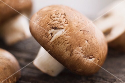A brown mushroom