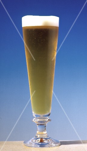 Pilsner in a Tall Pilsner Glass
