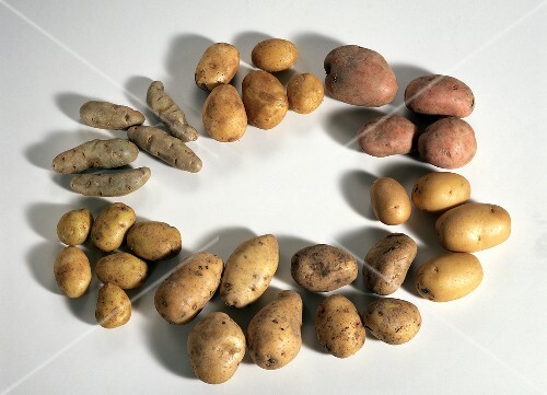Several Potatoes in a Circle