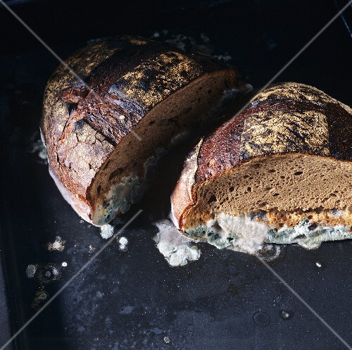 Two mouldy halves of loaf of bread (1)