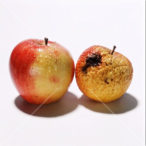 One fresh and one rotten apple