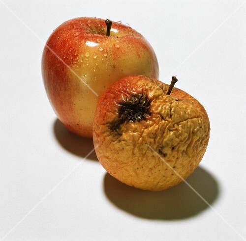 One fresh and one rotten apple