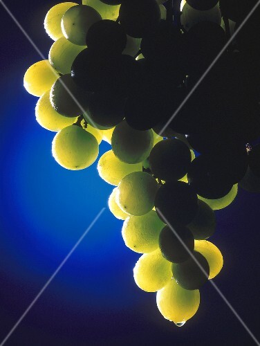 A Bunch of Green Grapes