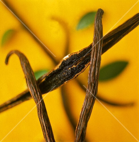 Vanilla pods