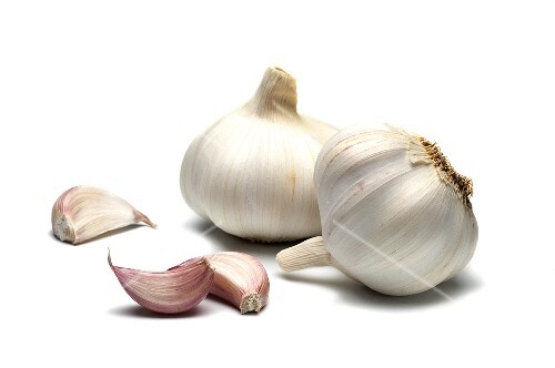 Garlic