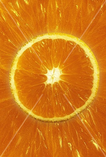 Orange Cross Section Close Up