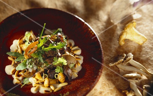 Mushroom and poultry salad with mustard dressing