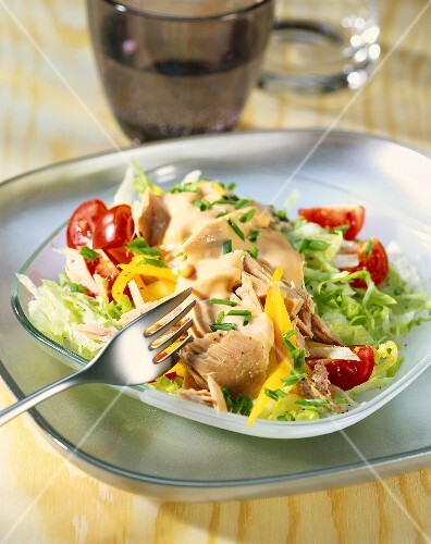 Thousand Island tuna salad (USA)