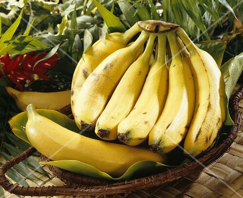 Bananas from S. America