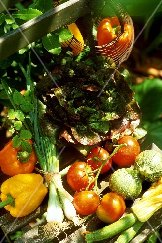 Still life with summer vegetables